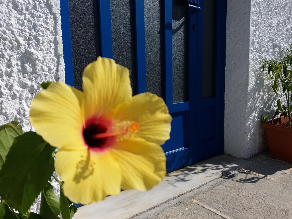 Constantinos Apartments Lassi  Dış mekan fotoğraf