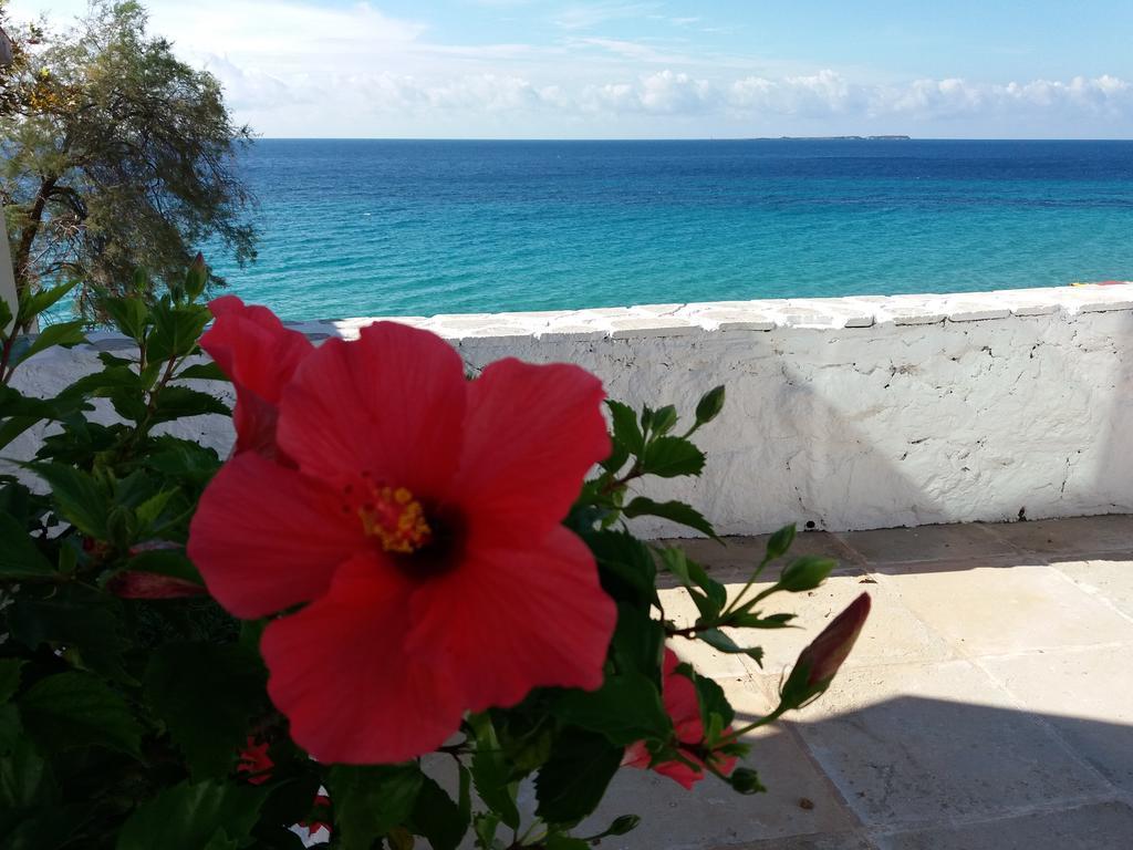 Constantinos Apartments Lassi  Dış mekan fotoğraf