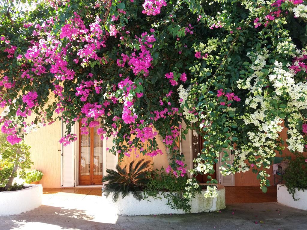 Constantinos Apartments Lassi  Dış mekan fotoğraf