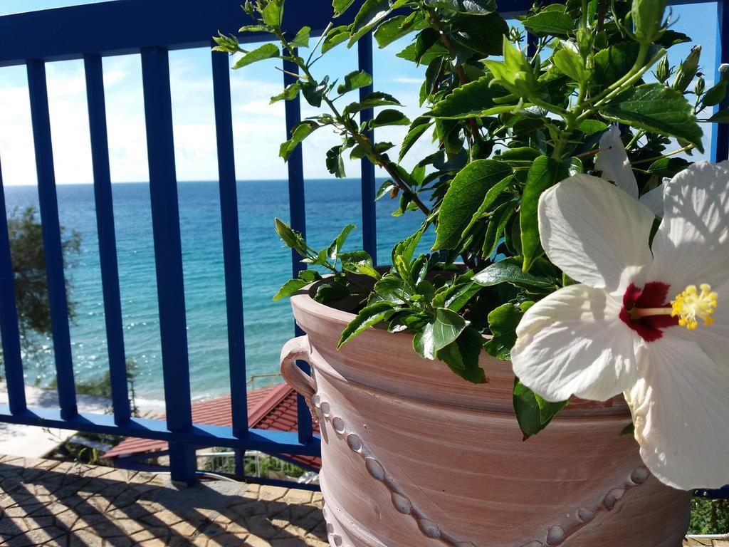 Constantinos Apartments Lassi  Dış mekan fotoğraf
