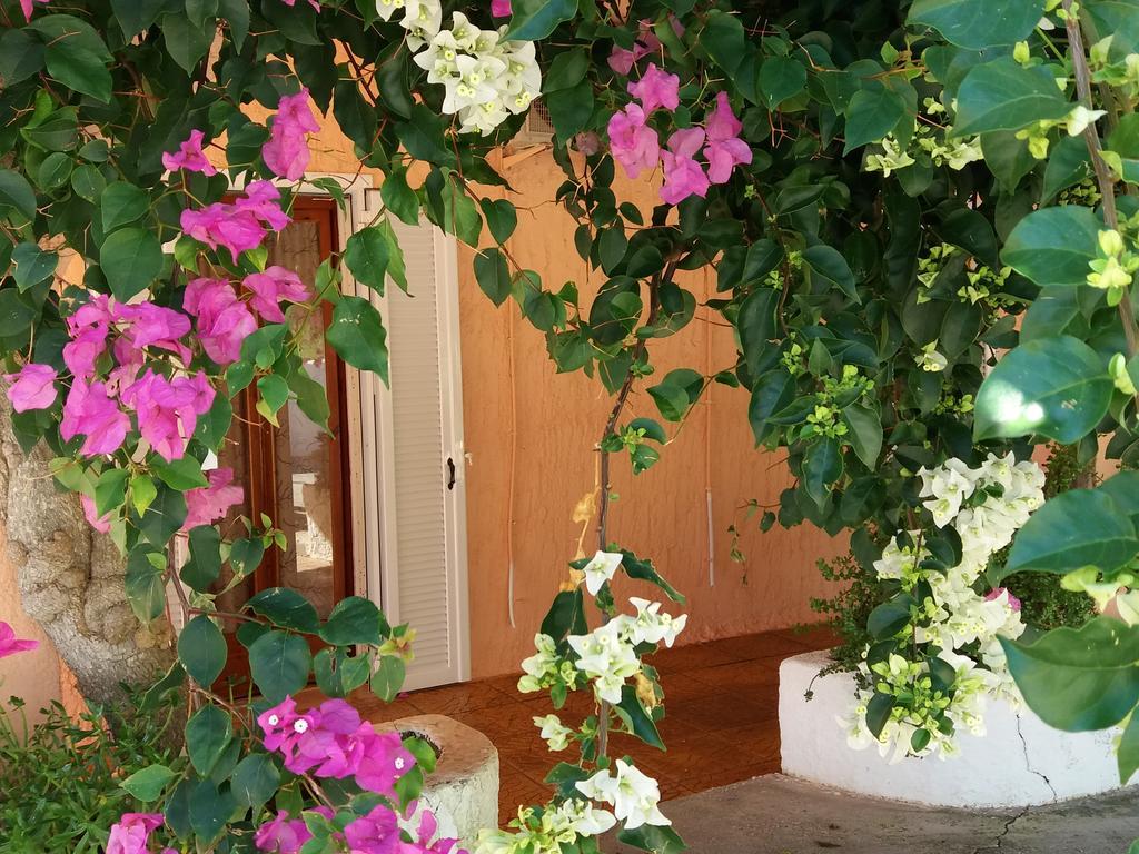 Constantinos Apartments Lassi  Dış mekan fotoğraf
